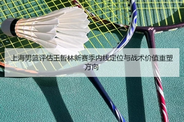 上海男篮评估王哲林新赛季内线定位与战术价值重塑方向